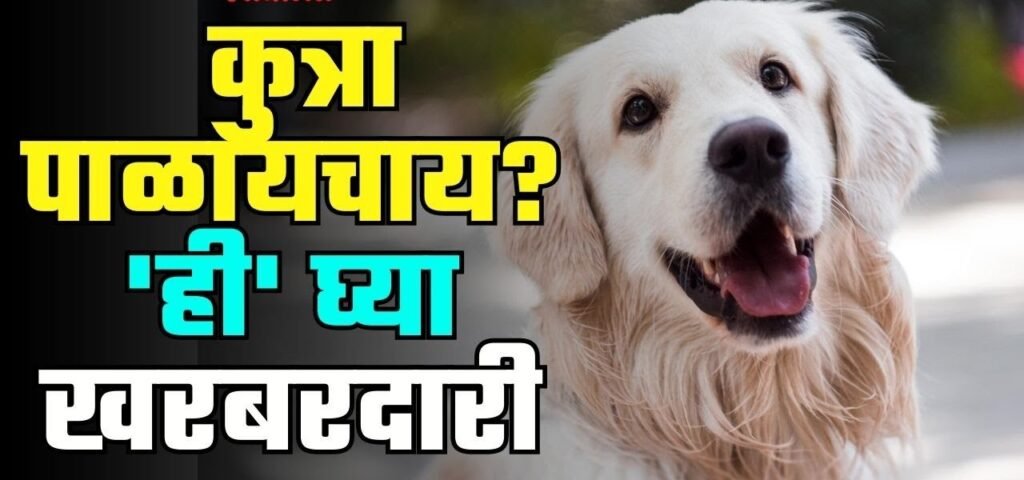 विनापरवाना कुत्री पाळणाऱ्यांवर फौजदारी गुन्हे दाखल करा परवाना असून निष्काळजीपणा करणाऱ्यांवरही कारवाईची गणेश जगताप यांची मागणी